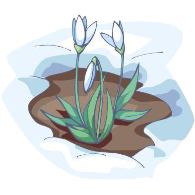 Главная